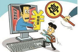 宁国清数公司排名：揭秘区域企业领军者