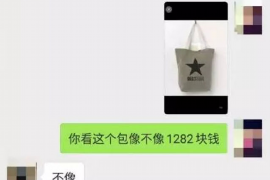 金融公司催收外包吗？揭秘催收外包的现状与优势